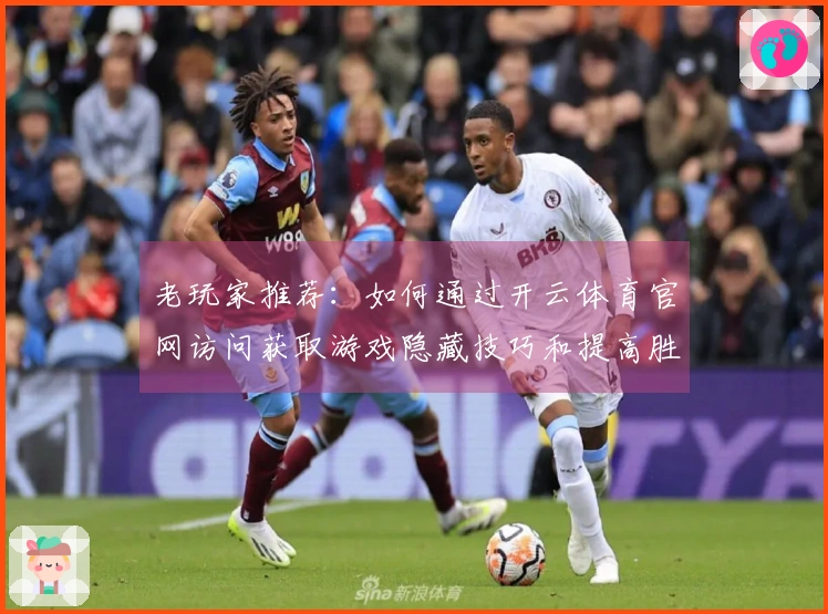 老玩家推荐：如何通过开云体育官网访问获取游戏隐藏技巧和提高胜率