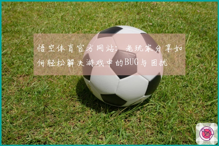 悟空体育官方网站：老玩家分享如何轻松解决游戏中的BUG与困扰