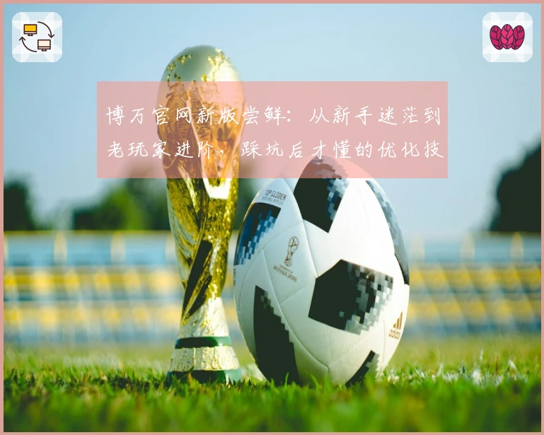 博万官网新版尝鲜:从新手迷茫到老玩家进阶,踩坑后才懂的优化技巧揭秘