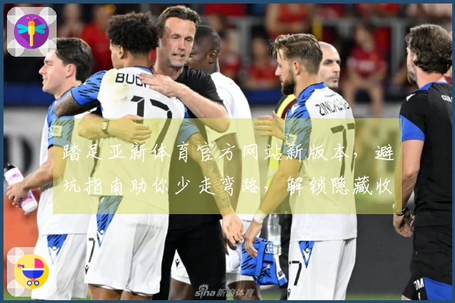 踏足亚新体育官方网站新版本，避坑指南助你少走弯路，解锁隐藏收益！